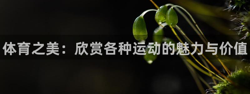 尊龙官网下载平台是正规平台吗安全吗：体育之美：欣赏各