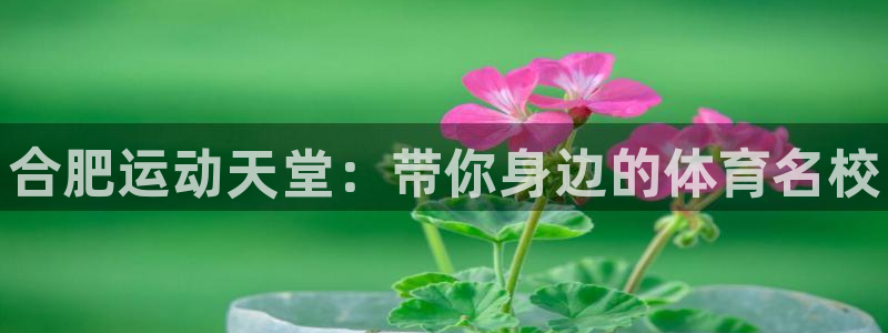 尊龙官方正版app官网：合肥运动天堂：带你身边的体育