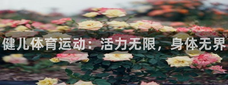 尊龙官方正版app科技：健儿体育运动：活力无限，身体