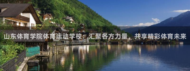 尊龙官方正版app新能源：山东体育学院体育运动学校：