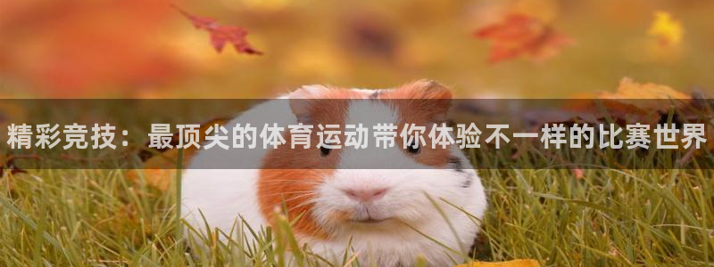 尊龙官方正版app集团官网网址：精彩竞技：最顶尖的体