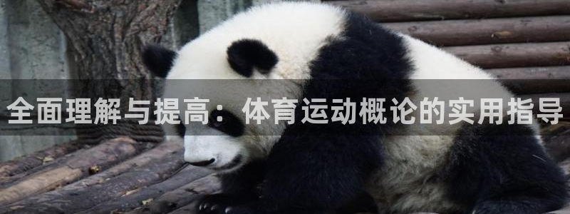 尊龙官网下载招商电话：全面理解与提高：体育运动概论的