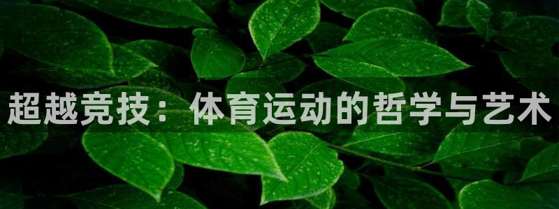 尊龙官方正版app官方：超越竞技：体育运动的哲学与艺