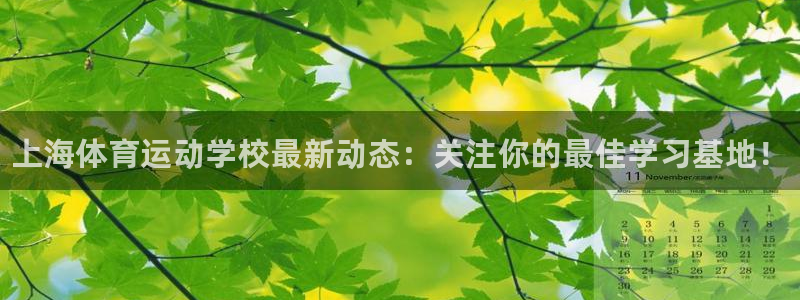 尊龙官方平台体育