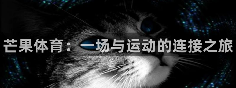 尊龙官方正版app新能源：芒果体育：一场与运动的连接