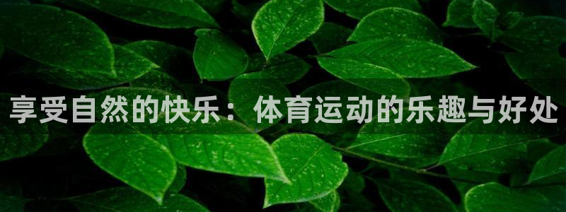 尊龙官网下载平台：享受自然的快乐：体育运动的乐趣与好