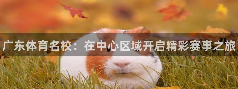 尊龙官方正版app娱乐下载：广东体育名校：在中心区域
