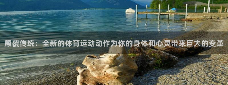 尊龙官网下载平台注册流程图：颠覆传统：全新的体育运动