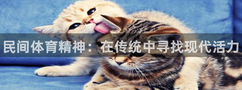 尊龙官方正版app集团logo：民间体育精神：在传统