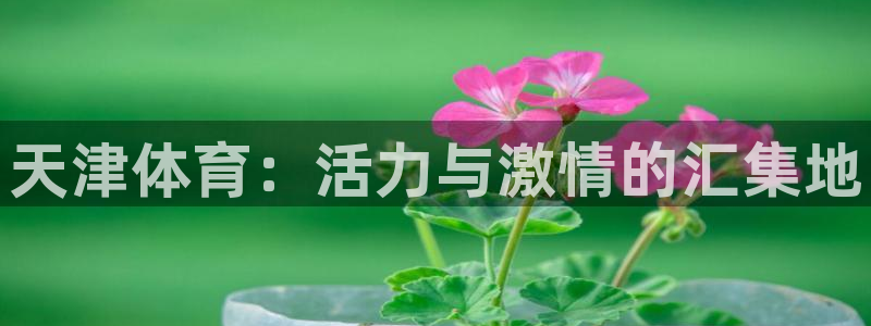 尊龙官网下载平台是正规平台吗：天津体育：活力与激情的