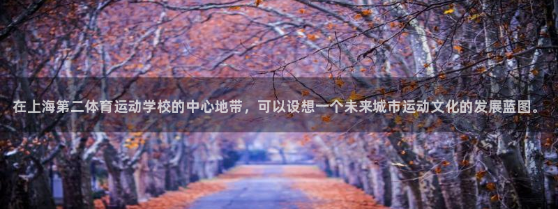 尊龙官方正版app五金厂：在上海第二体育运动学校的中