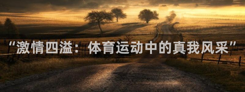 尊龙官网下载招商电话号码查询是多少：“激情四溢：体育运动中的