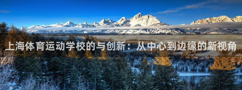尊龙官方正版app娱乐代理怎么样：上海体育运动学校的与创新：