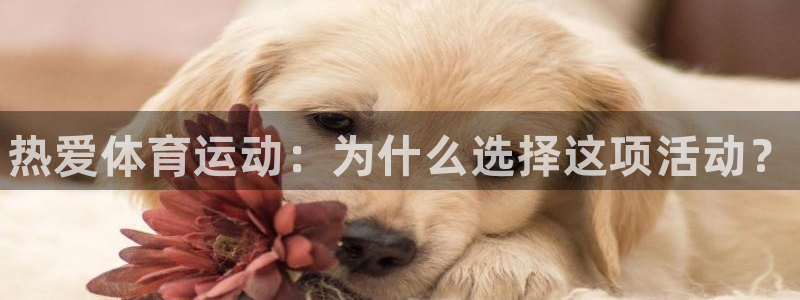 尊龙官方正版app五金厂：热爱体育运动：为什么选择这项活动？
