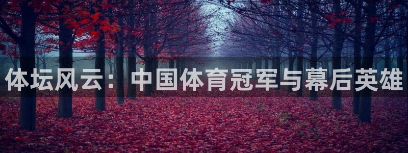 尊龙官方正版app五金厂：体坛风云：中国体育冠军与幕后英雄