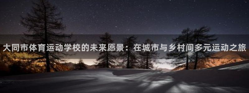 海南尊龙官网下载：大同市体育运动学校的未来愿景：在城市与乡村