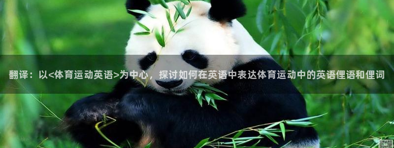 尊龙官网下载开户：翻译：以<体育运动英语>为中心，探讨如何在