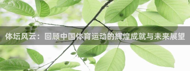 尊龙官方集团官网：体坛风云：回顾中国体育运动的辉煌成就与未来