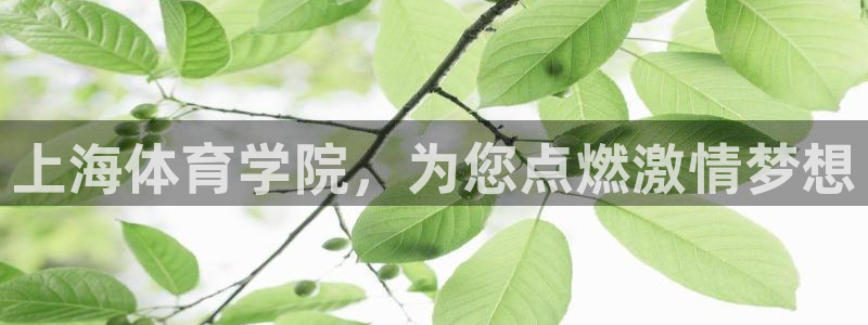 尊龙官网下载招商电话：上海体育学院，为您点燃激情梦想