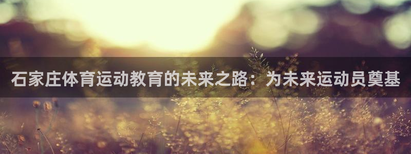 尊龙官方正版app五金厂：石家庄体育运动教育的未来之