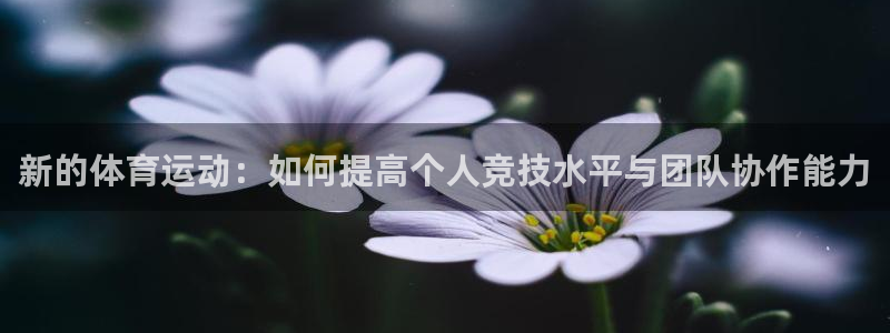 尊龙官方正版app娱乐下载：新的体育运动：如何提高个