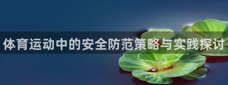 尊龙官方正版app娱乐代理怎么样：体育运动中的安全防范策略与