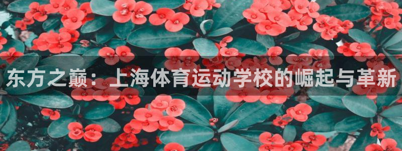海南尊龙官网下载：东方之巅：上海体育运动学校的崛起与革新