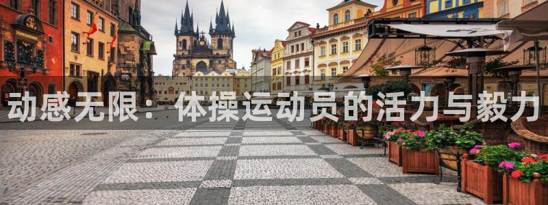 海南尊龙官网下载发展怎么样