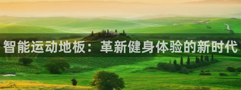 尊龙官网下载招商电话：智能运动地板：革新健身体验的新