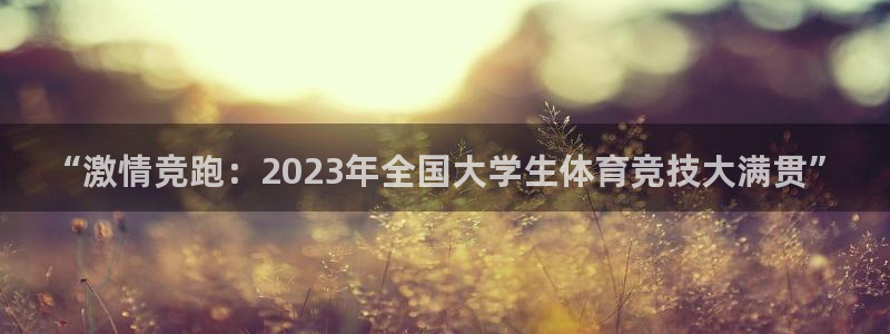 尊龙官方正版app集团简介：“激情竞跑：2023年全国大学生