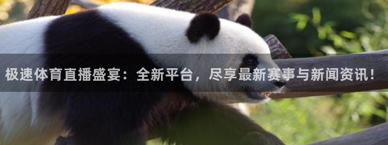 柠檬jrs直播