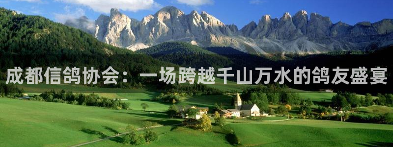 柠檬体育直播篮球：成都信鸽协会：一场跨越千山万水的鸽友盛宴