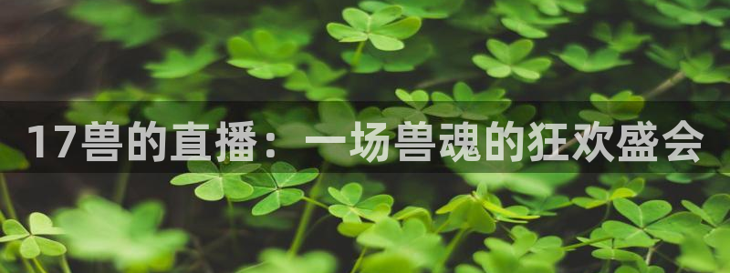 柠檬直播nba：17兽的直播：一场兽魂的狂欢盛会