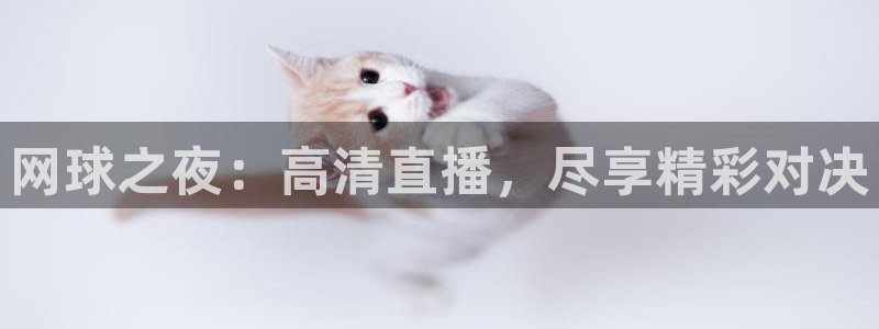 柠檬足球直播直播：网球之夜：高清直播，尽享精彩对决