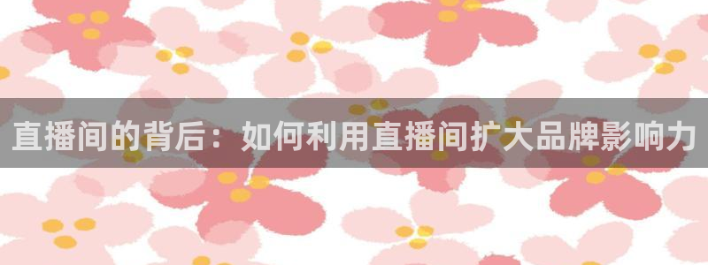 柠檬体育在线直播nba：直播间的背后：如何利用直播间扩大品牌影响力