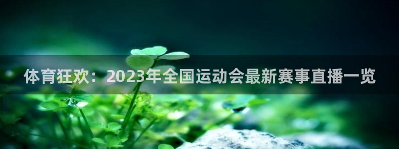 柠檬直播足球免费观看：体育狂欢：2023年全国运动会最新赛事直播一览