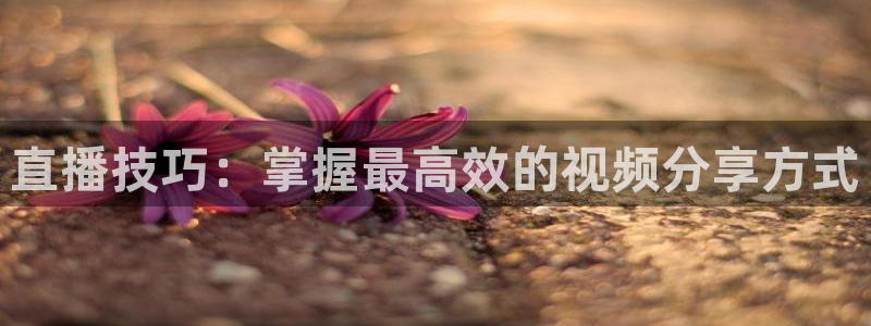 柠檬大秀直播：直播技巧：掌握最高效的视频分享方式