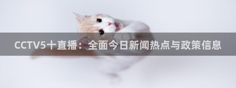 柠檬nba篮球免费直播：CCTV5十直播：全面今日新闻热点与政策信息